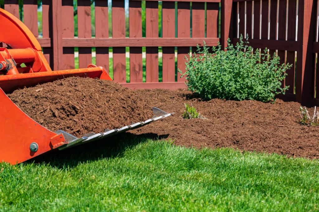 Tractor loader with wood chips or mulch and flowerbed.